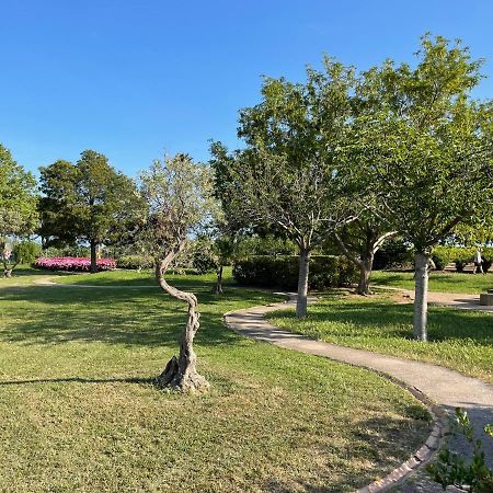 Appartement Tout Confort Vue Mer Antibes Dış mekan fotoğraf